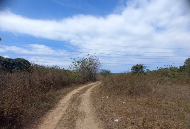 Agricultural in Lot 359-B-2, Sitio Bakery, Brgy. Alas-Asin, Mariveles, Bataan - Foreclosed Property