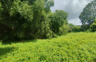 Agricultural in Lot 5515, Malanday St., Brgy. Encanto, Angat, Bulacan - Foreclosed Property