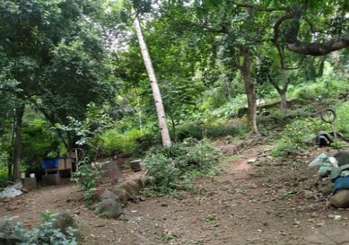 Agricultural in Lot 2127, Manila East Road corner Ilaya St., Sitio Nagpatong, Brgy. San Juan, Baras, Rizal - Foreclosed Property