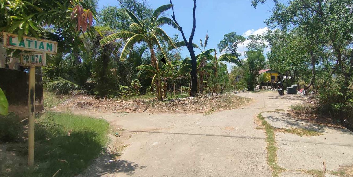 Agricultural in Lot 2, Latian corner Prinza Streets, Brgy. Lolomboy, Bocaue, Bulacan - Foreclosed Property
