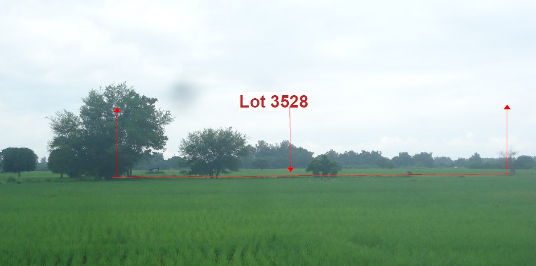Agricultural in Lot 3528 (interior lot), Brgy. San Vicente, Victoria, Tarlac - Foreclosed Property