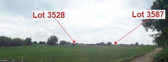 Agricultural in Lot 3587, Brgy. San Vicente, Victoria, Tarlac - Foreclosed Property