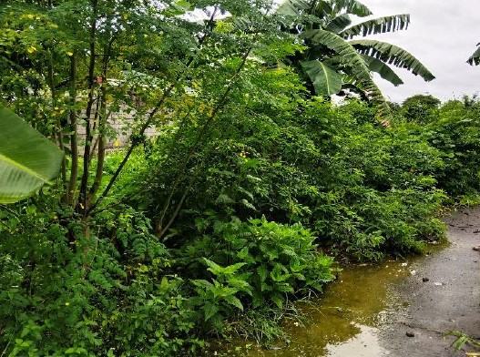 Vacant Lot in Lot 6-F, Rodland Subdivision, Brgy. Sta. Clara, Santa Maria, Bulacan - Foreclosed Property