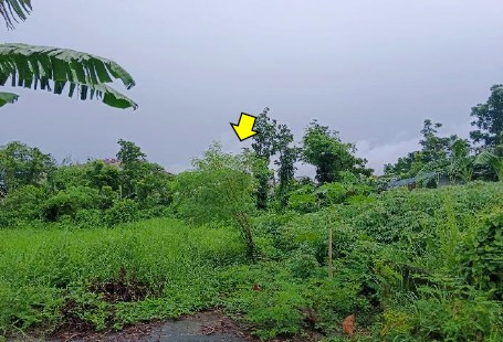 Vacant Lot in Lot 4-D, Rodland Subdivision, Brgy. Sta. Clara, Santa Maria, Bulacan - Foreclosed Property