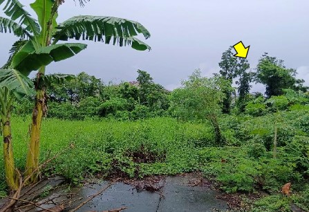 Vacant Lot in Lot 4-A, Rodland Subdivision, Brgy. Sta. Clara, Santa Maria, Bulacan - Foreclosed Property