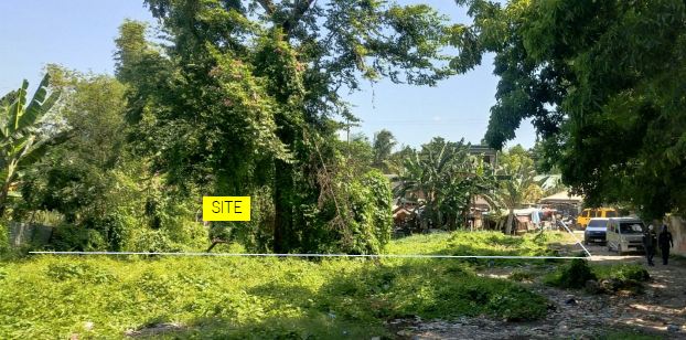 Industrial in Plan F (VI-1) 3535-B-D, Baha Baha St., Brgy. Tayud, Consolacion, Cebu P-H-O-E-N-I-X PETROLEUM PHILIPPINES, INC. - Foreclosed Property