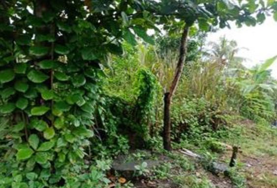 Vacant Lot in Lot 1, Block 6, Emenville Subdivision, Phase 4, Brgy. Libertad (TCT) / Ambago (TD), Butuan City. Agusan Del Norte - Foreclosed Property