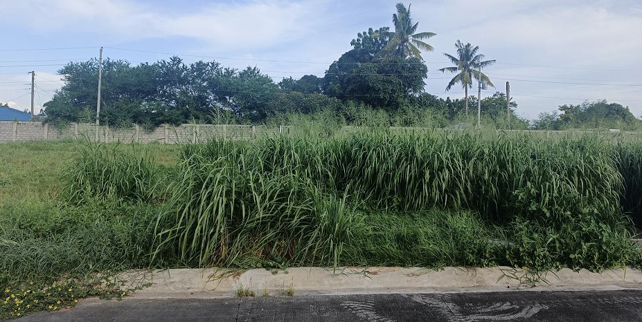 Vacant Lot in Lot 7, Block 41, Lilac St., Bloomfields Subdivision, Phase 3, Brgy. Labangal, General Santos City, South Cotabato - Foreclosed Property