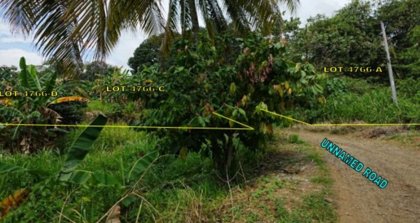 Agricultural in Lot 4766-A, Csd-11-012817-D, Farm Road, Purok 5, Sitio Banas II, Brgy. Bato, Toril Dist., Davao City, Davao del Sur - Foreclosed Property