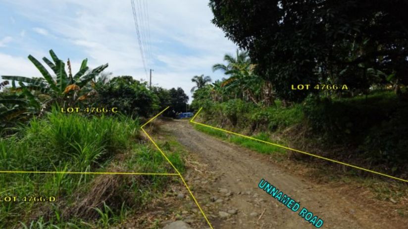 Agricultural in Lot 4766-C and 4766-D, Csd-11-012817-D, Farm Road, Purok 5, Sitio Banas II, Brgy. Bato, Toril Dist., Davao City, Davao del Sur - Foreclosed Property