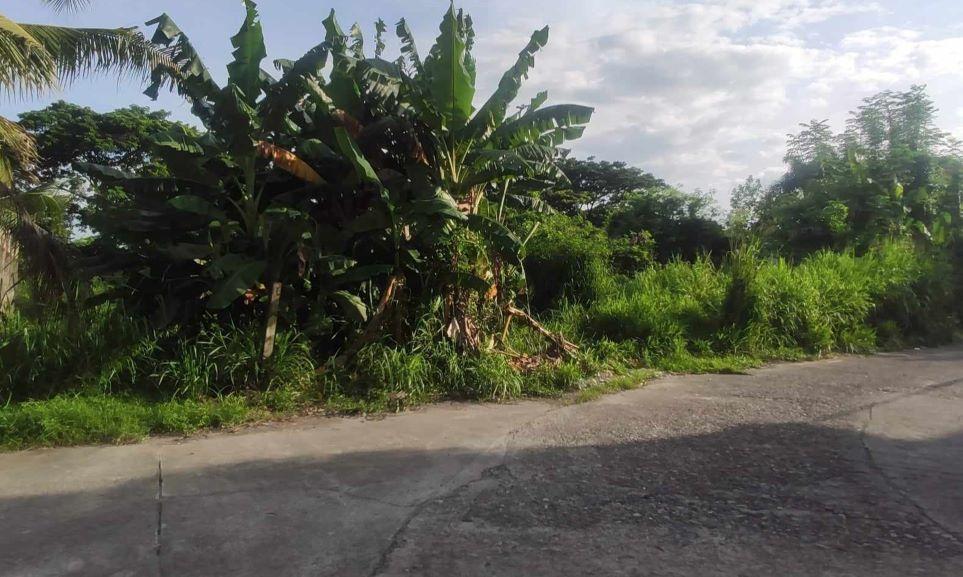 Vacant Lot in Lot 9, Along 9th Road, Sta. Monica Heights Subdivision, Brgy. San Rafael, Tarlac City, Tarlac - Foreclosed Property