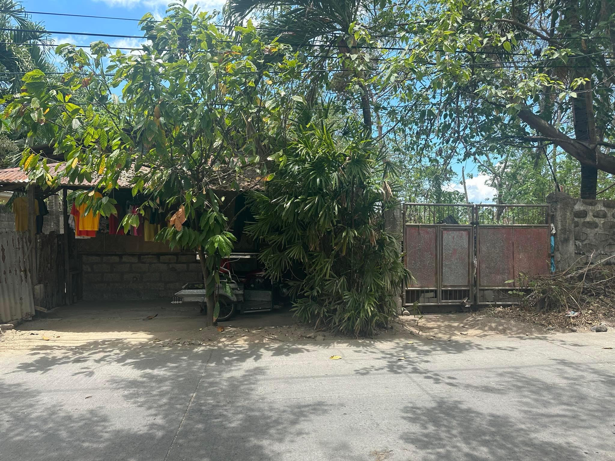 Vacant Lot in Lot 960-B-2 (Psd-04-084520) Maculele Street, Barangay Nanhaya, Victoria, Laguna - Foreclosed Property