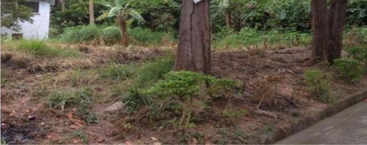 Vacant Lot in Lot 6, Blk. 7, Phase 2, Makiling Heights Subd., Brgy. Pansol, Los Banos, Laguna - Foreclosed Property