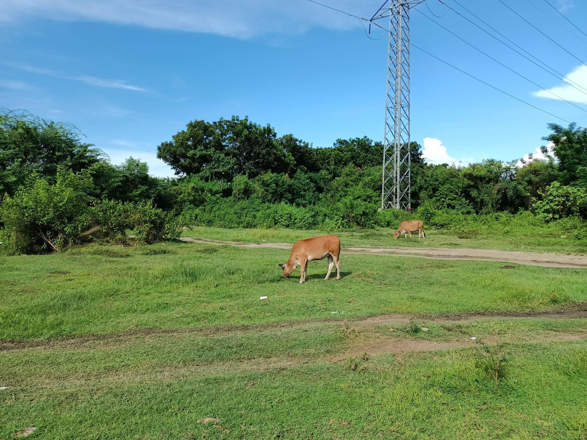 Vacant Lot in Lot 4472-D-1, National Road, Brgy. Buhang, Jaro District, Iloilo City, Iloilo - Foreclosed Property
