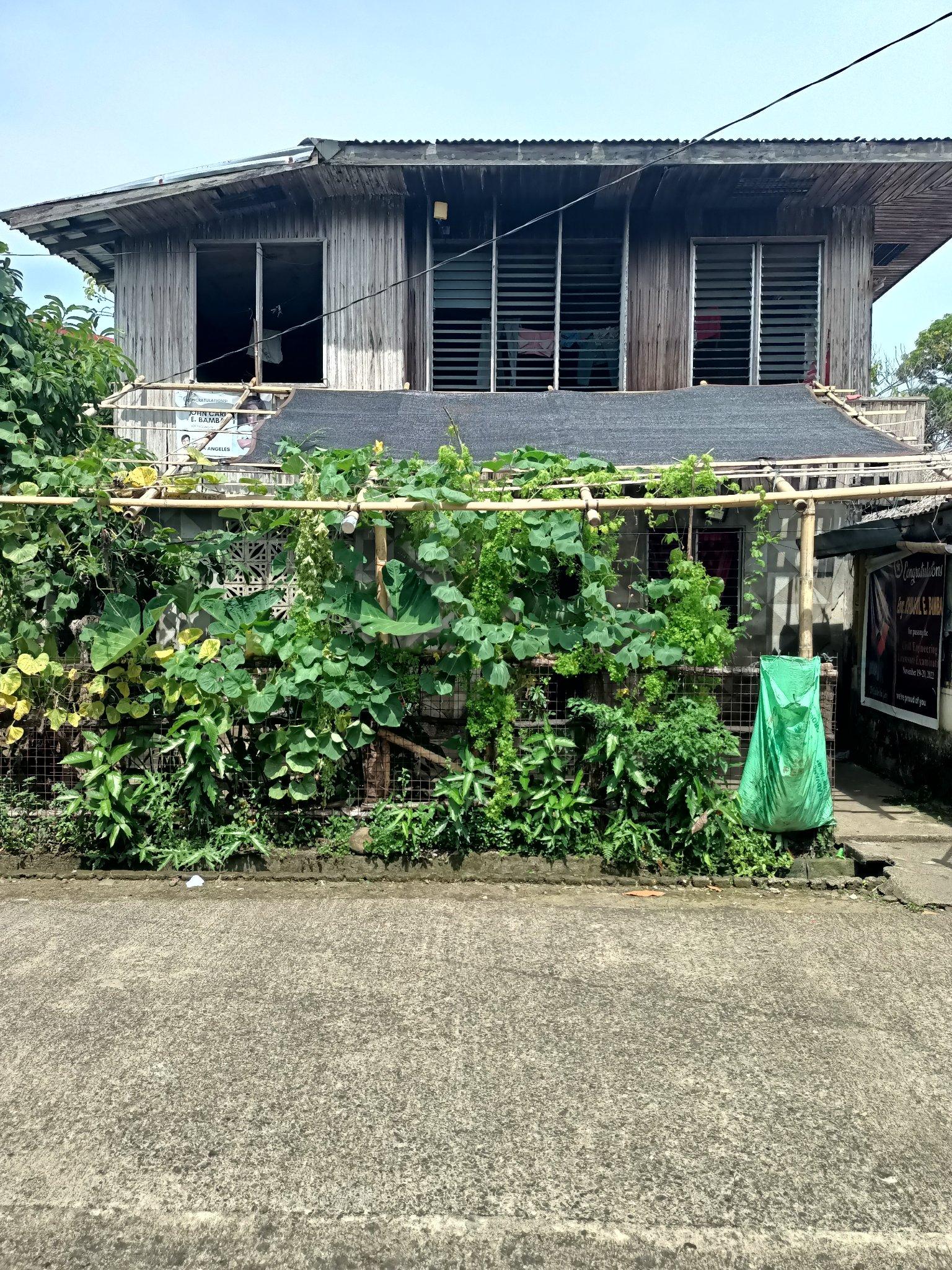 Vacant Lot in Lot 13-E, Alonzo St., Brgy. Poblacion, Santa Elena, Camarines Norte - Foreclosed Property