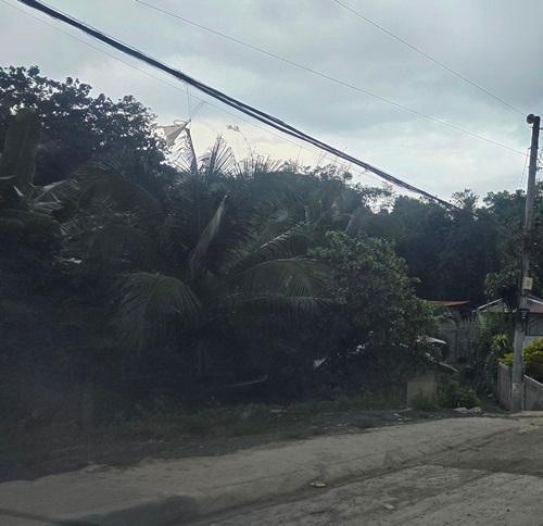 Vacant Lot in Lot 959-B-2-B-1, Bo. Matina Pangi, Davao City, Davao del Sur - Foreclosed Property