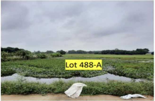 Agricultural in LOTS 488-A, C & D, ALONG BRGY. ROAD, BRGY. SAN JOSE NORTH, ANAO, TARLAC - Foreclosed Property