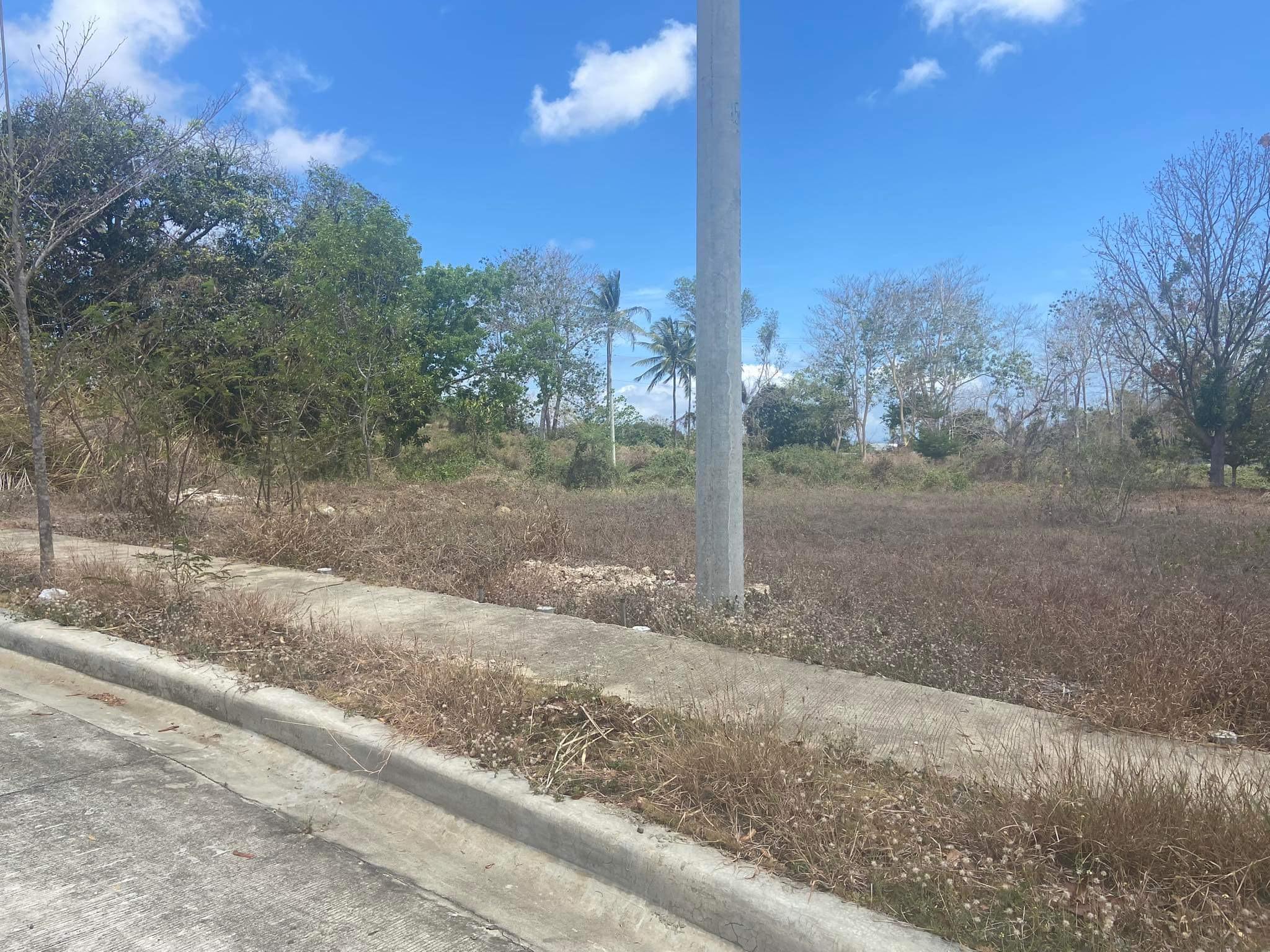 Vacant Lot in Lot 2, Block 4, Lohas Hill Homes, Sinai, Laguindingan, Misamis Oriental - Foreclosed Property