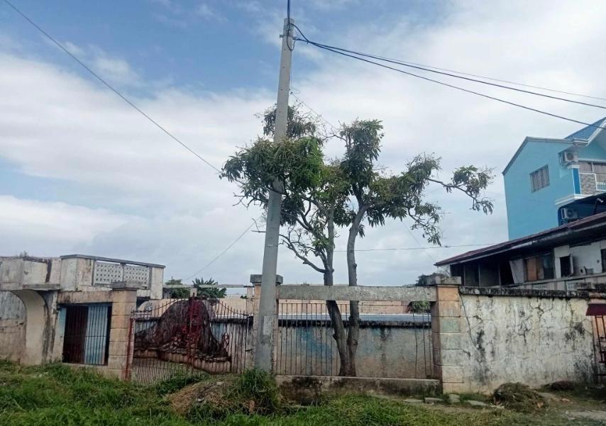 House & Lot in Lot 20 Blk. 2, L&D Summerville Subdivision Brgy. Pansol, Calamba City, Laguna - Foreclosed Property