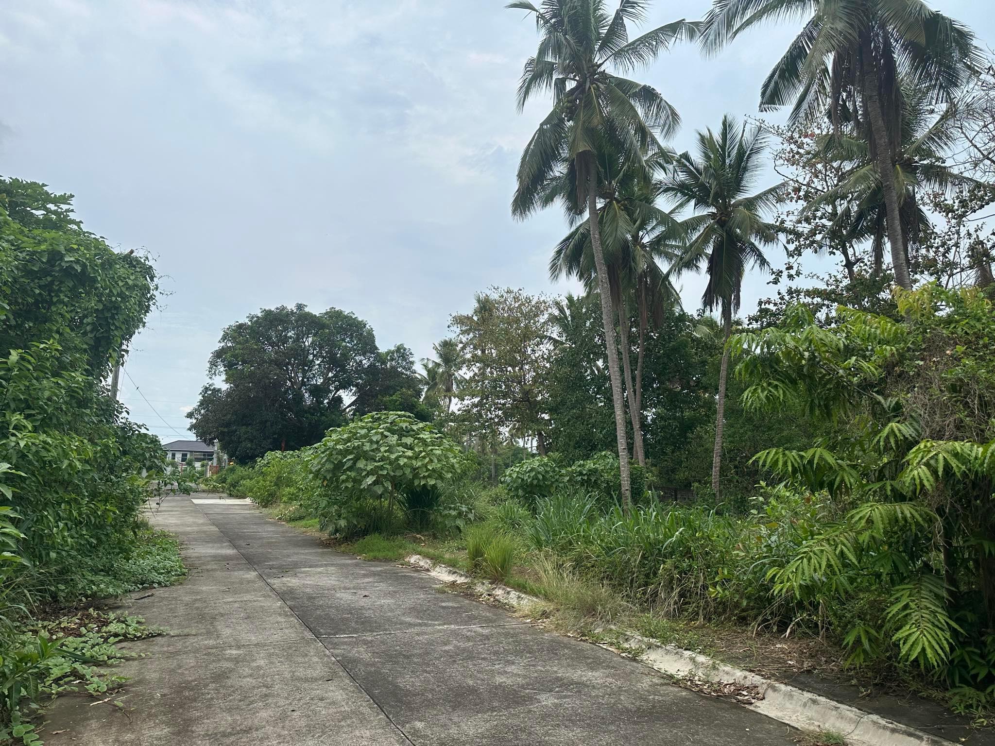 Vacant Lot in Lot 24 Blk. 1 Brgy. Sta. Rita, Batangas City, Batangas - Foreclosed Property