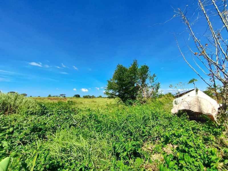 Agricultural in Lot 1657-A-1, Brgy. Bagong Sikat, San Jose, Occidental Mindoro - Foreclosed Property