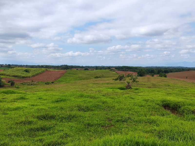 Vacant Lot in Lot No. 6356-A, San Felipe, Echague, Isabela - Foreclosed Property