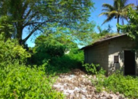 Agricultural in LOT 23-HH, BRGY. VALDEFUENTE, CABANATUAN CITY, NUEVA ECIJA - Foreclosed Property