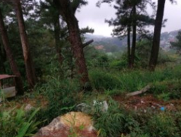 Vacant Lot in LOT NOS. 29-B-18-H-8, 29-B-18-H-9, 29-B-18-H-11 & 29-B-18-H-12 UNNAMED ROAD, BAKAKENG CENTRAL, SANTO TOMAS DISTRICT, BAGUIO CITY, BENGUET - Foreclosed Property