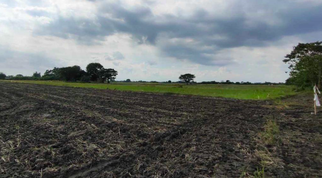 Agricultural in Sitio Labac, Bo. Balincanaway, Tarlac City, Tarlac - Foreclosed Property
