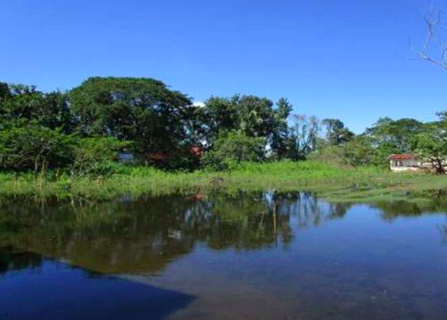 Vacant Lot in Brgy. San Pedro, San Simon, Pampanga - Foreclosed Property
