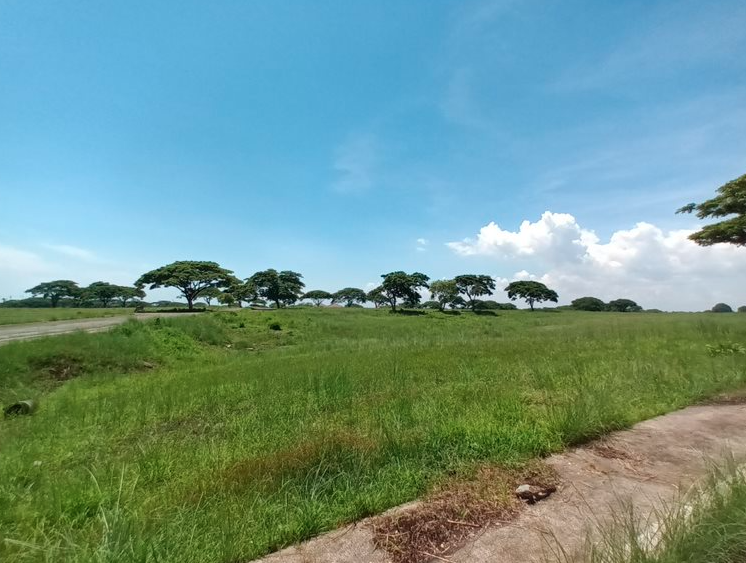 Vacant Lot in Block 18, Lot 3 Saddle And Clubs Leisure Park Subdivision, Barangay Tanauan, Tanza, Cavite - Foreclosed Property